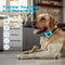 USB Rechargeable Dog Training Collar Pet Anti Barking Device Ultrasonic Stop Barking Vibration Anti 1