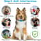 USB Rechargeable Dog Training Collar Pet Anti Barking Device Ultrasonic Stop Barking Vibration Anti 4