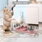3in1 Triple Cat Bowl Pet Food And Water Bowl Tilted At 15 For Wet And Dry Food 4