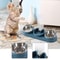 3in1 Triple Cat Bowl Pet Food And Water Bowl Tilted At 15 For Wet And Dry Food 5