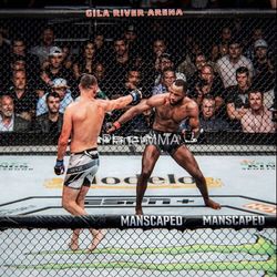 nate diaz provokes leon edwards - premium vertical poster
