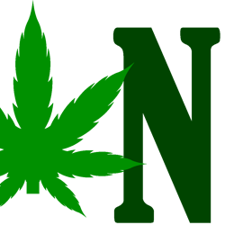 stoned weed svg, weed svg, stoner svg, blunt svg, cannabis svg, weed leaf svg, marijuana svg, digital download