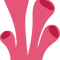Coral 2.png