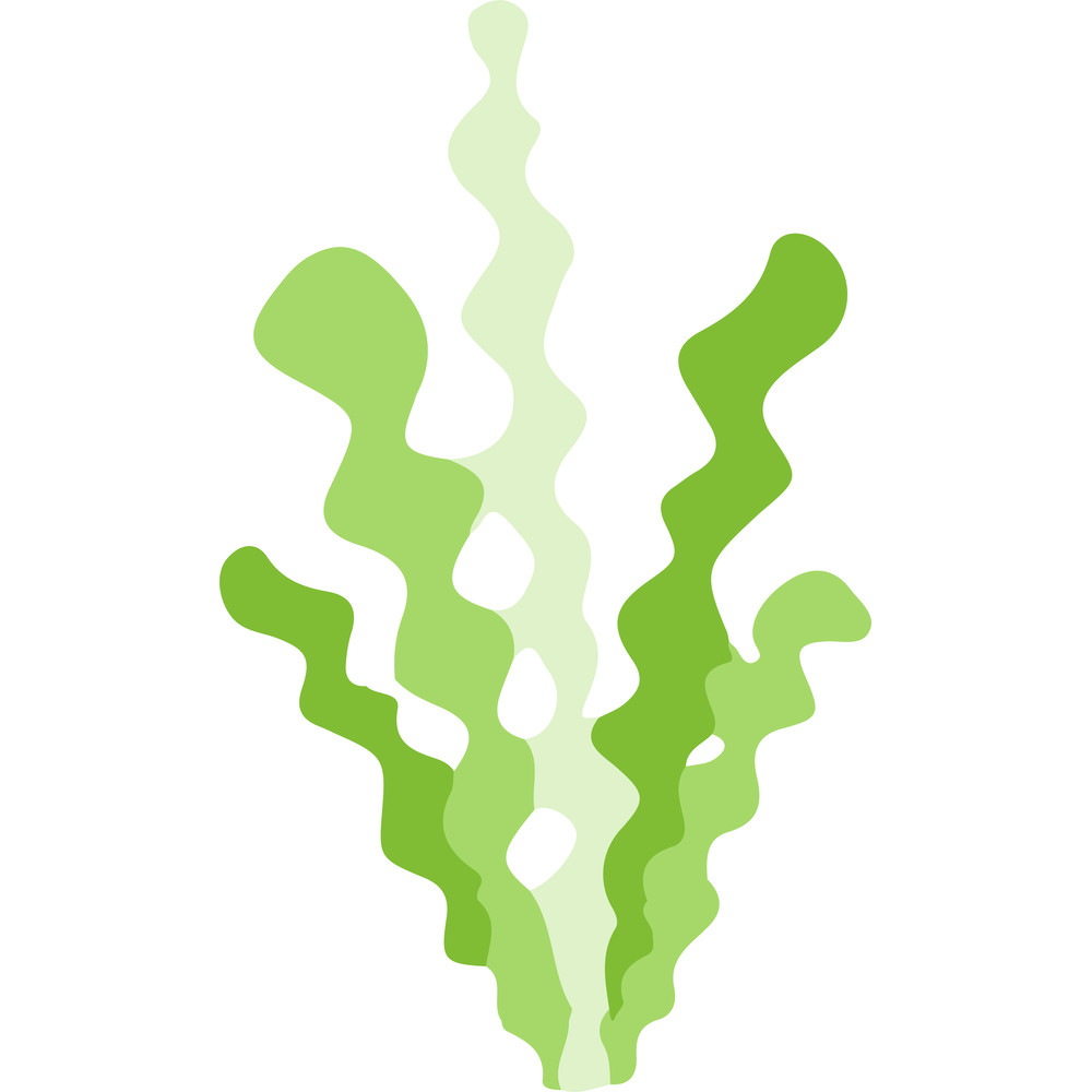 seaweed1.png