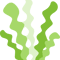 seaweed1.png