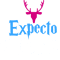 24.Expecto Patponum.png