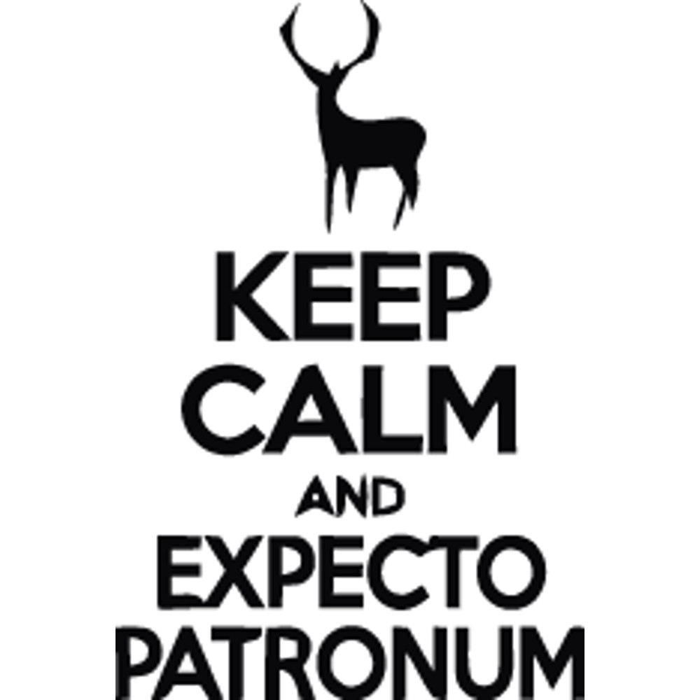 Harry Potter (12).png