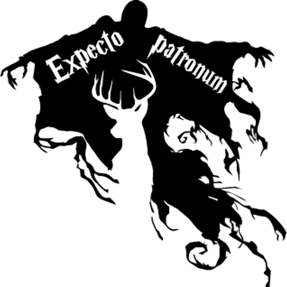 Harry Potter (16).png