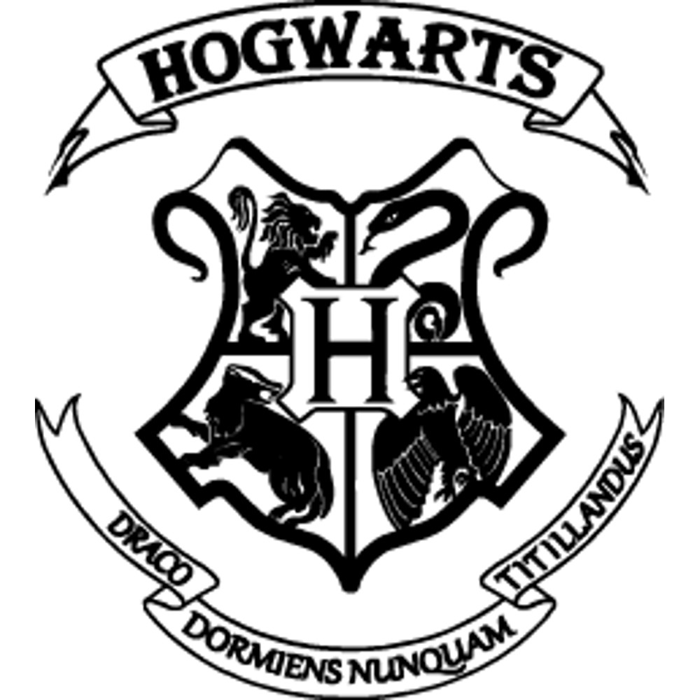 Harry Potter (69).png