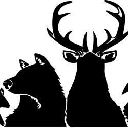 animals svg, harry potter svg, harry potter quotes svg, harry potter movie svg, magic svg, digital download