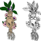 mandrake with flowers.png