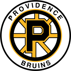 Boston Bruins Svg, Boston Bruins Logo Svg, NHL logo Svg, National Hockey League Svg, Sport Svg, Digital download