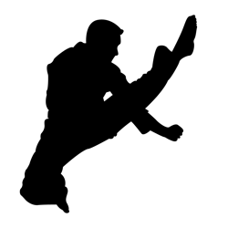 cobra kai svg, cobra kai clipart, karate kid svg, miyagi do svg, no mercy svg, strike first, cobra kai silhouette