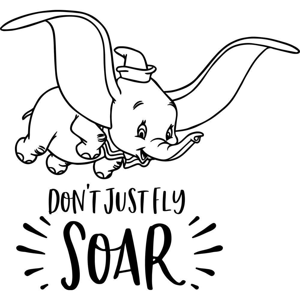 dont just fly soar.png