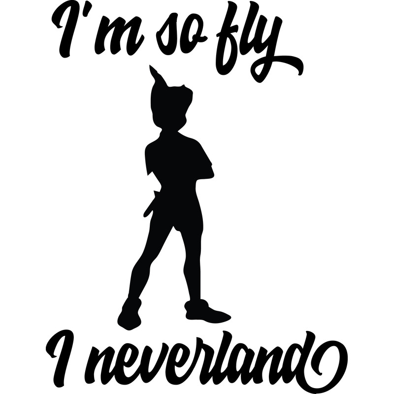 im so fly i neverland.png