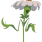 Flowers (2).png