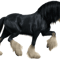 Horse (1).png