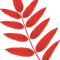Leaves (1).png