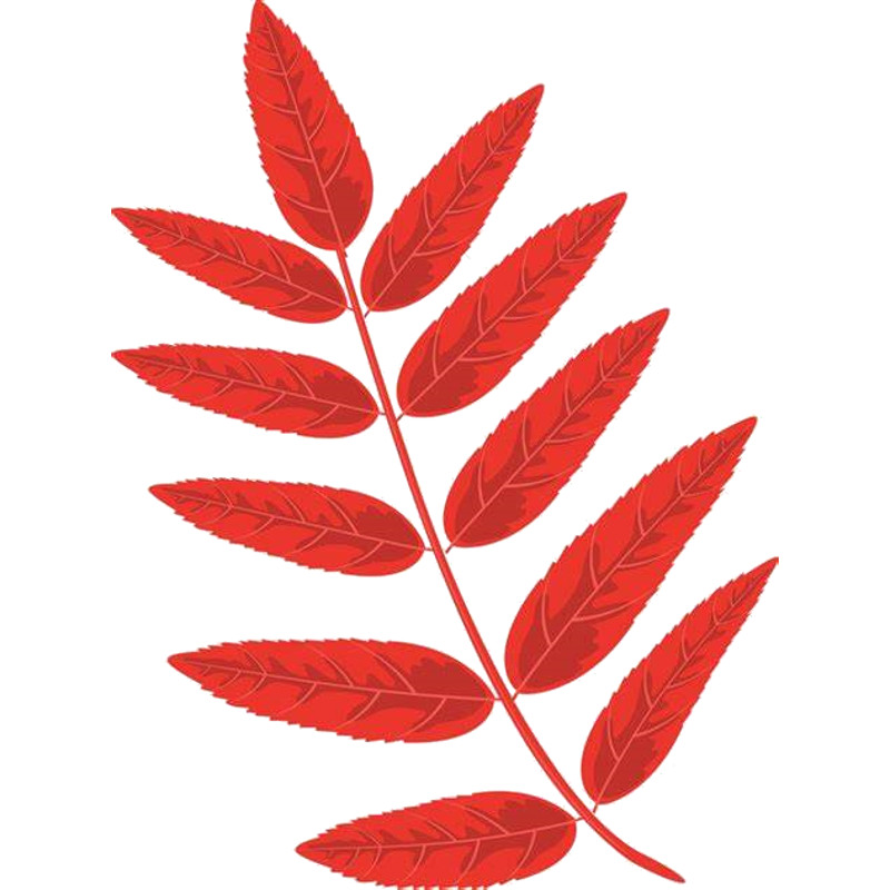 Leaves (1).png