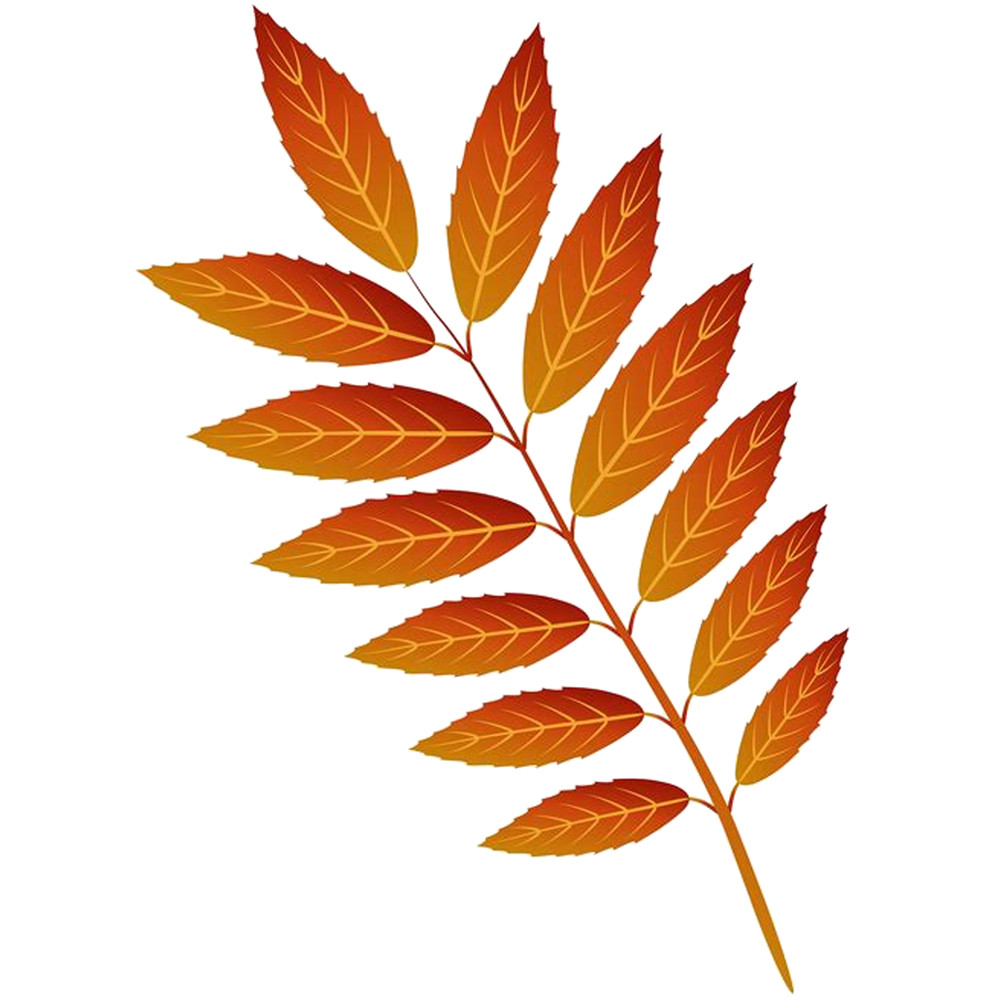 Leaves (2).png