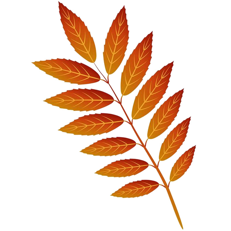 Leaves (2).png