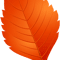 Leaves (3).png