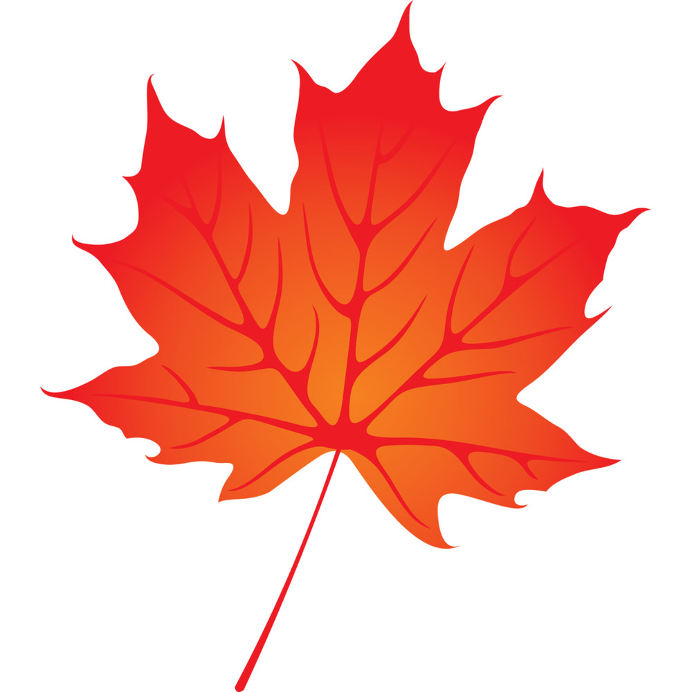 Leaves (4).png