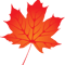 Leaves (4).png