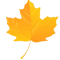 Leaves (5).png