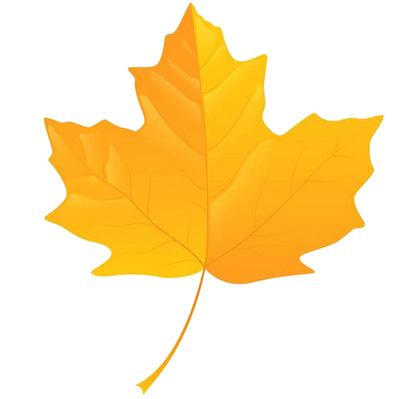 Leaves (5).png