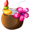 Coconut.png