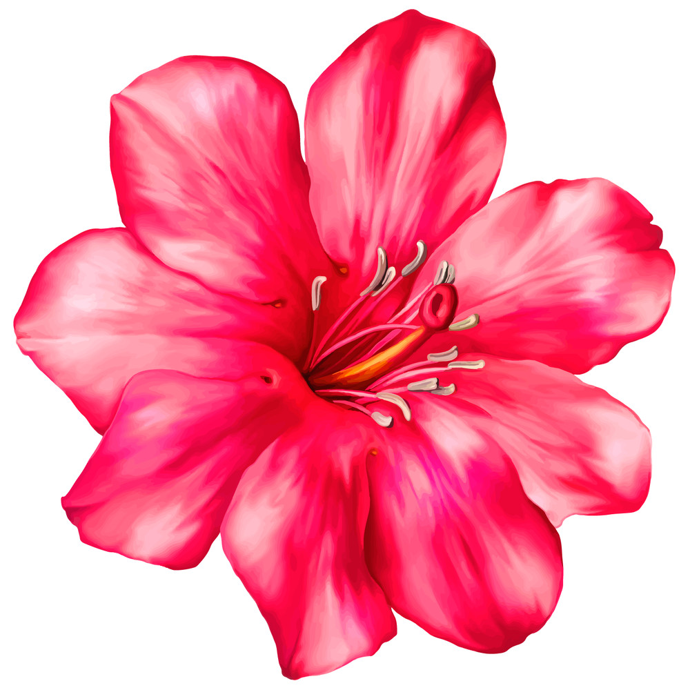 Flower (1).png