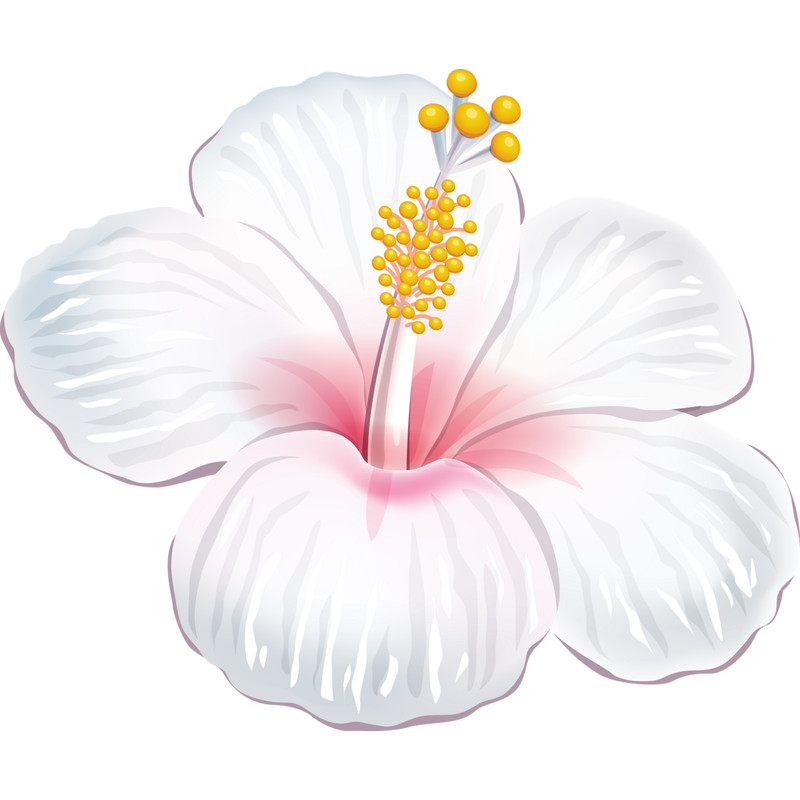 Flower (12).png