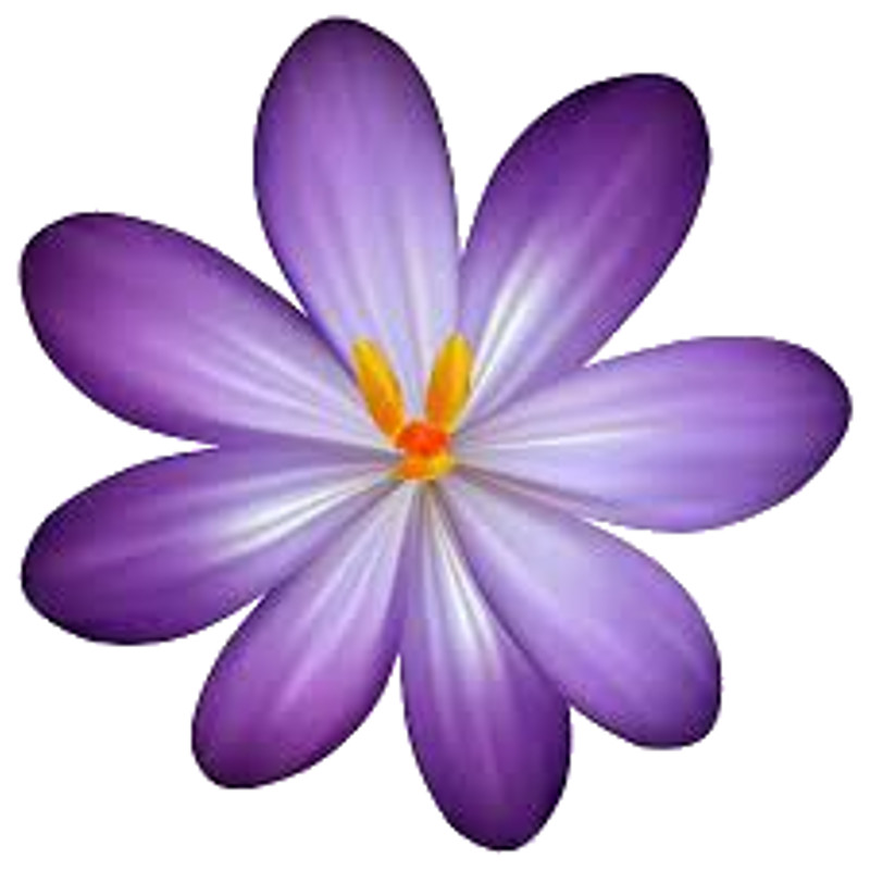Flower (18).png