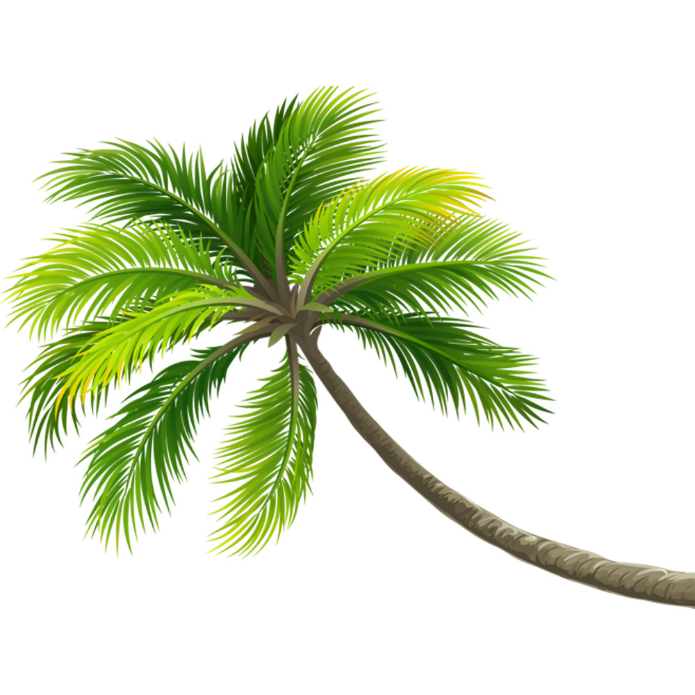 Palm Tree (2).png