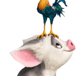 pua and hei hei png transparent images, disney moana png, clipart, disney princess png, digital download-2