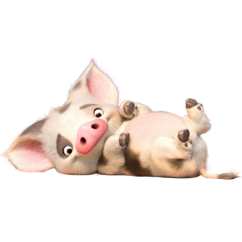 Pig 8.png