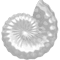 Seashell (2).png