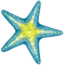 Starfish (1).png
