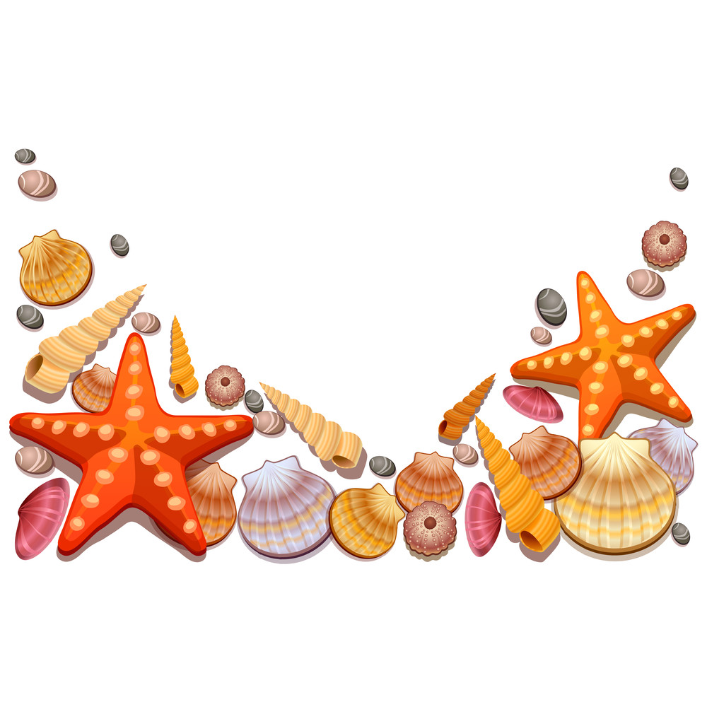 Starfish (5).png