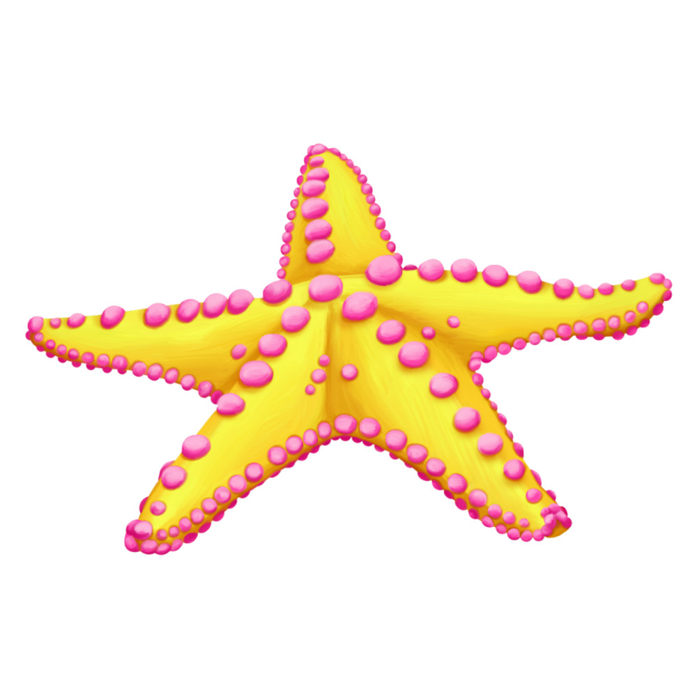 Starfish (6).png