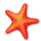 Starfish (7).png