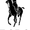 Polo.png