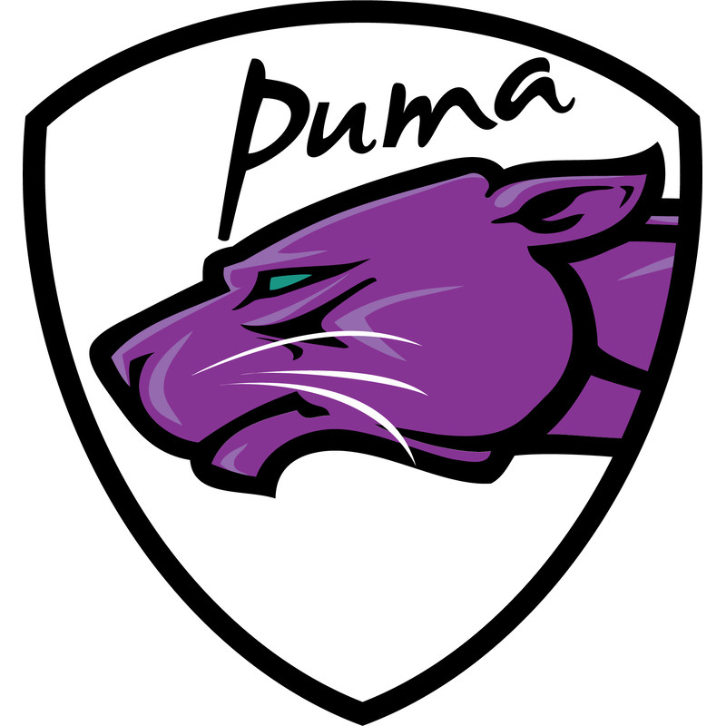 Puma 2.png