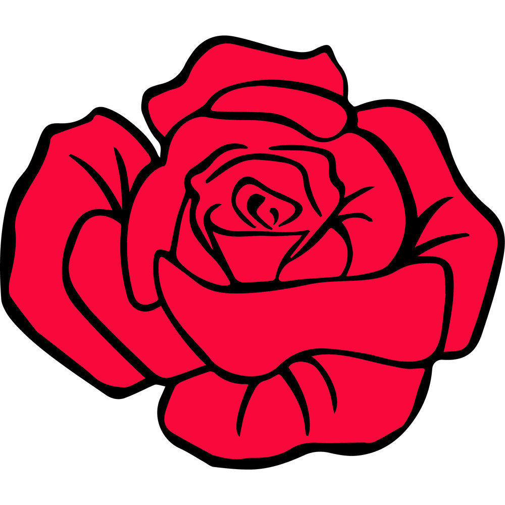 Rose-01.png