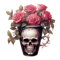 33.png