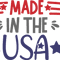 made in the USA.png