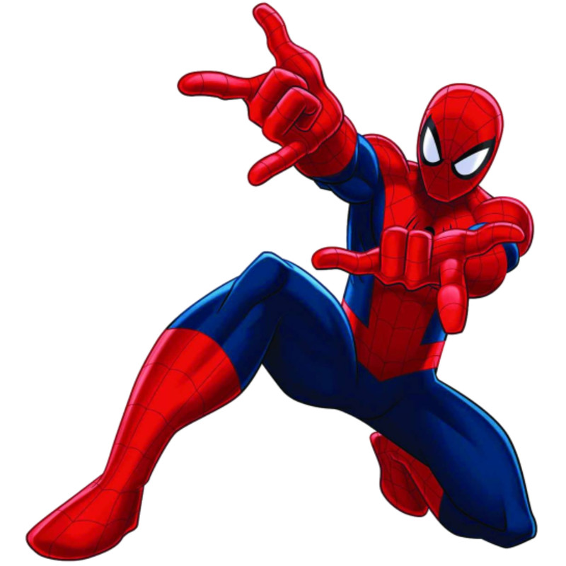 spider1.jpg
