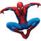 spider3.jpg