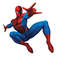 spider6.jpg
